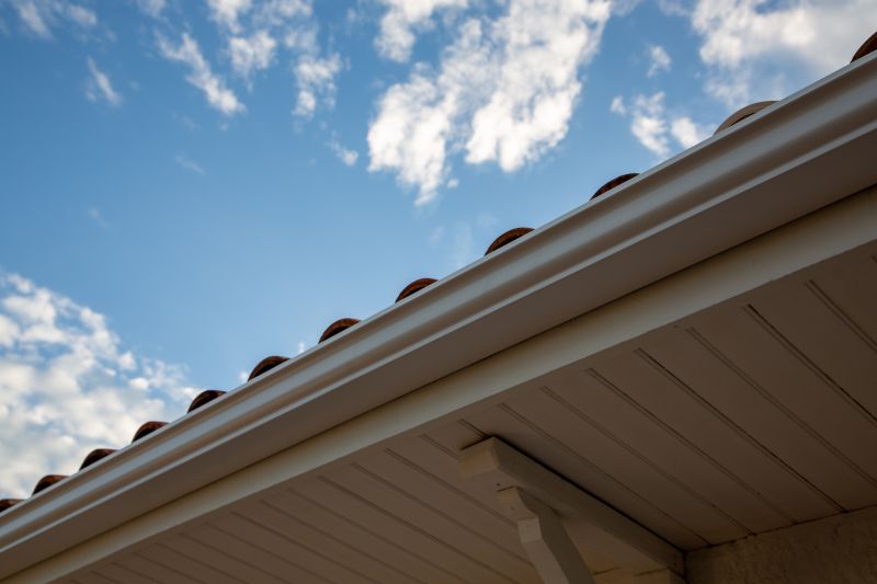 Roof Gutters detail